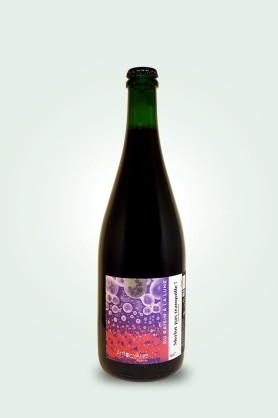 Cave du Pic Vert | AntocyÂme | Muriel Zoldan | Du raisin à la lune 2024