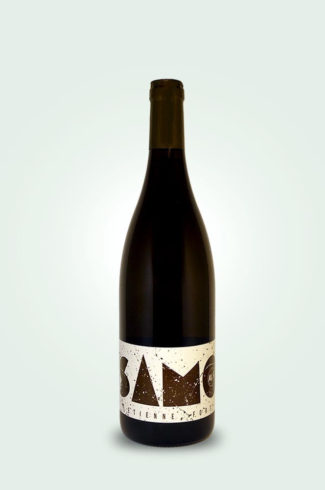 Cave du Pic Vert | Etienne Fort | Monsieur S | Samo Blanc 2023