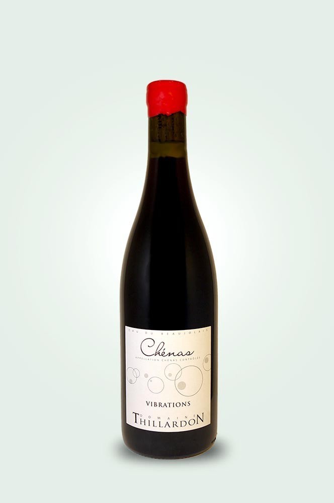 Cave du Pic Vert | Domaine Thillardon | Vibrations 2023 Cave du Pic Vert | Domaine Thillardon | Vibrations 2023