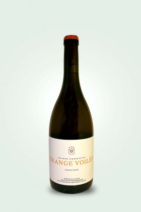 Orange Voilée 2023