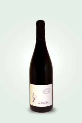 Cave du Pic Vert | Benoit Courault | La Coulée 2024