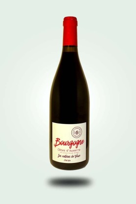 Cave du Pic Vert | Edouard Lepesme | Bourgogne Côtes d'Auxerre 2022 rouge