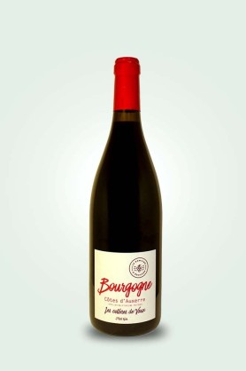 Cave du Pic Vert | Edouard Lepesme | Bourgogne Côtes d'Auxerre 2022 rouge