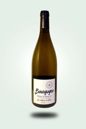 Cave du Pic Vert | Edouard Lepesme | Bourgogne Côtes d'Auxerre 2022 blanc