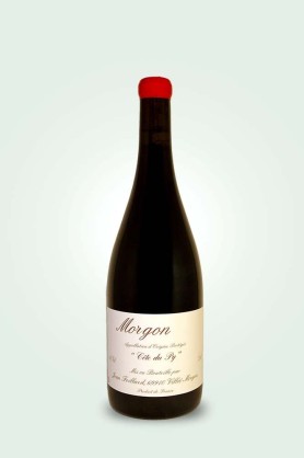 Cave du Pic Vert | Domaine Jean Foillard | Morgon Côte du Py 2023