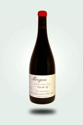 Cave du Pic Vert | Domaine Jean Foillard | Morgon Côte du Py 2023