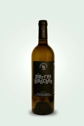 Cave du Pic Vert | Damien Bonnet | Domaine de Brin | Pierres Blanches 2024