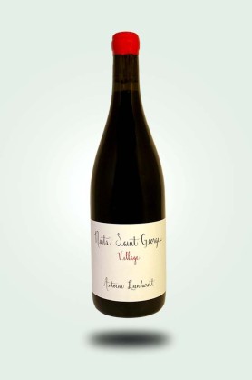 Cave du Pic Vert | Domaine Antoine Lienhardt | Nuits-Saint-Georges 2023