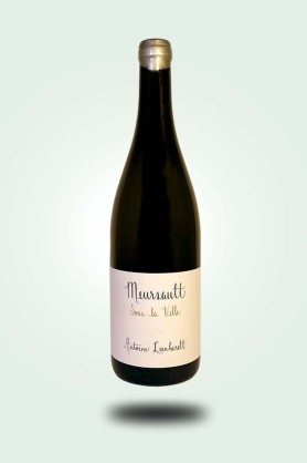 Cave du Pic Vert | Domaine Antoine Lienhardt | Meursault Sous la Velle 2023