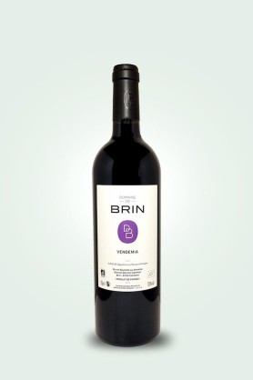 Cave du Pic Vert | Damien Bonnet | Domaine de Brin | Vendemia 2022