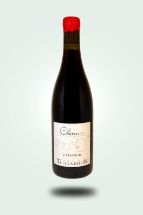 Cave du Pic Vert | Domaine Thillardon | Vibrations 2023