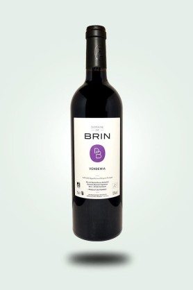 Cave du Pic Vert | Domaine de Brin | Vendemia 2023