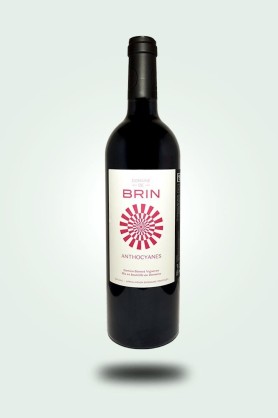 Cave du Pic Vert | Domaine de Brin | Domaine de Brin | Anthocyanes 2022