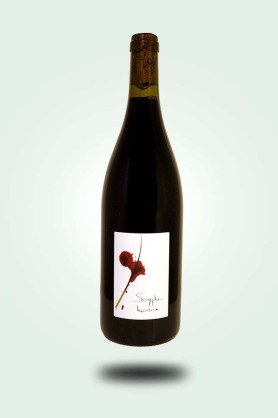 Cave du Pic Vert | Le Vin des Pauzes | Sisyphe Heureux 2024