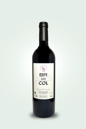 Cave du Pic Vert | Damien Bonnet | Domaine de Brin | Braucol 2022