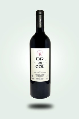 Cave du Pic Vert | Damien Bonnet | Domaine de Brin | Braucol 2022