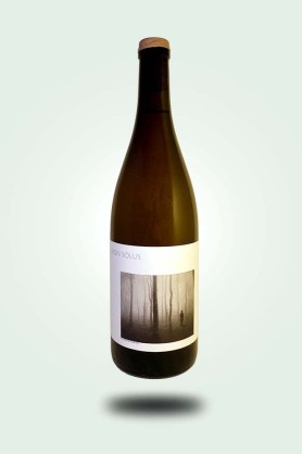 Cave du Pic Vert | Clos des Plantes | Non Solus 2023