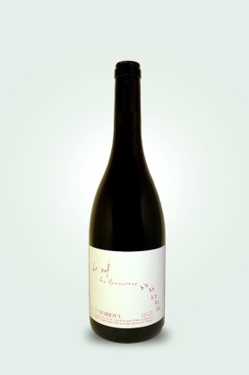 Cave du Pic Vert | Domaine La Mariota | Vol des Etourneaux 2022