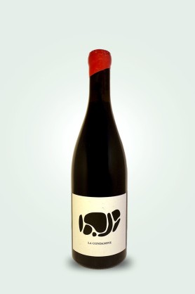 Cave du Pic Vert | Les Terres Bariolées | La Condamine 2022