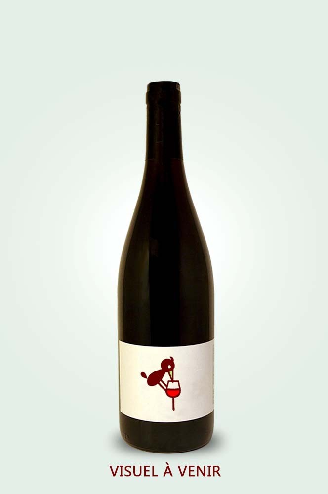 Cave du Pic Vert | Domaine Goienetxea | Bixente Indart | GB 2021