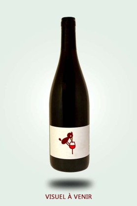 Cave du Pic Vert | Domaine aux Moines | La Roche aux Moines 2023