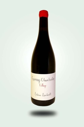 Cave du Pic Vert | Domaine Antoine Lienhardt | Gevrey-Chambertin 2023