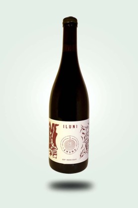 Cave du Pic Vert | Irouléguy | Domaine Amama | Iluni 2023