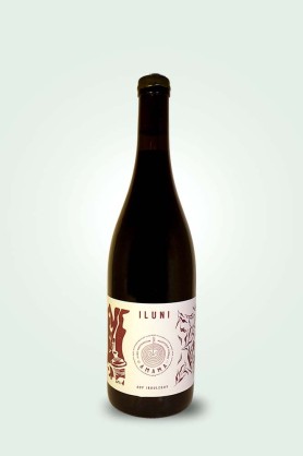 Cave du Pic Vert | Irouléguy | Domaine Amama | Iluni 2023