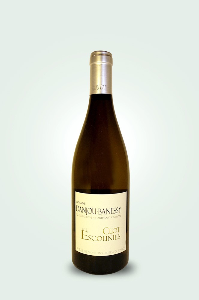 Cave du Pic Vert | Danjou-Banessy | Clot dels Escounils 2023