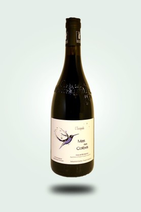 Cave du Pic Vert | Mas des Colibris | Escapade 2018