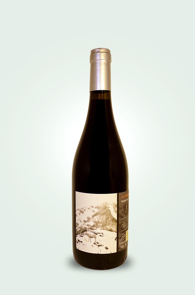 Cave du Pic Vert | Terre des Nus | La Sierra 2024