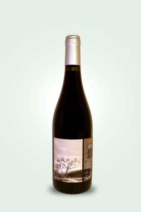 Cave du Pic Vert | Terre des Nus | Regarde la Mer 2023