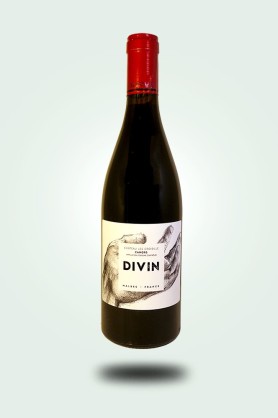 Cave du Pic Vert | Château Les Croisille | Divin 2022