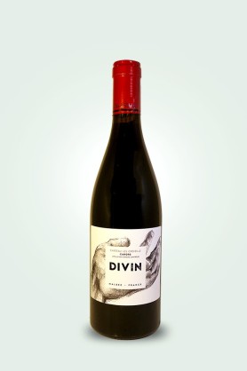 Cave du Pic Vert | Château Les Croisille | Divin 2022