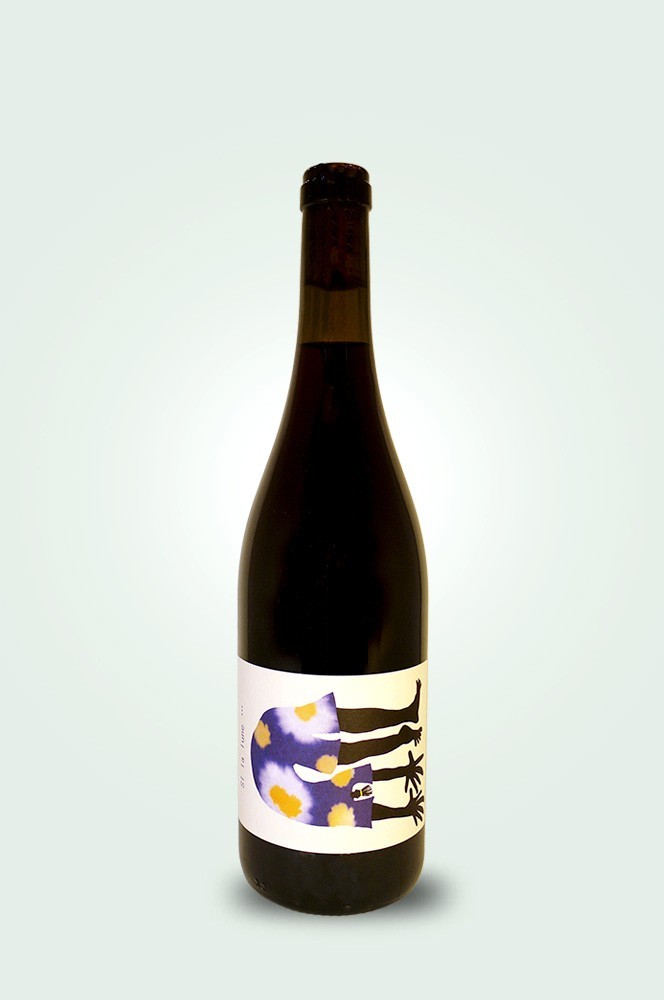 Cave du Pic Vert | Fanny Daher | La Baladeuse | Si La Lune 2024