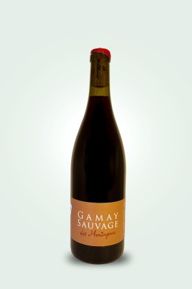 Cave du Pic Vert | Les Grangeons de l'Albarine | Gamay Sauvage 2023