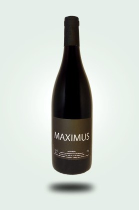 Cave du Pic Vert | Nicolas Carmarans | Maximus 2022