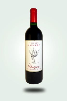 Cave du Pic Vert | Thierry Navarre | Ribeyrenc 2024