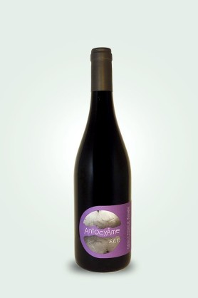 Cave du Pic Vert | AntocyÂme | Muriel Zoldan | S.L.T. 2021