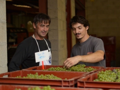 Samedi 13 décembre : dégustation Champagne Bonnet-Ponson !